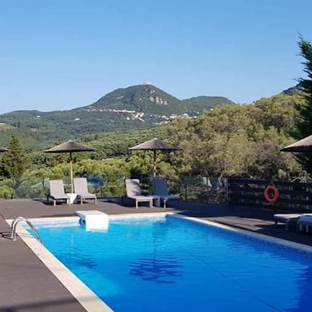 Diogenis Parga Studios Kültér fotó