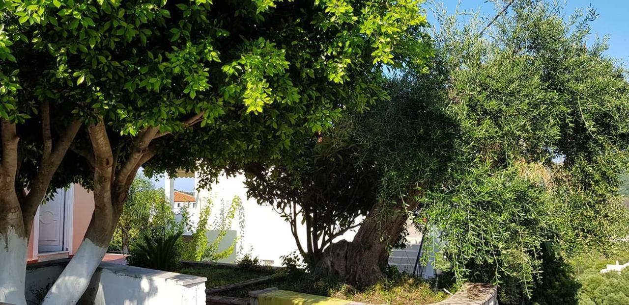 Diogenis Parga Studios Kültér fotó