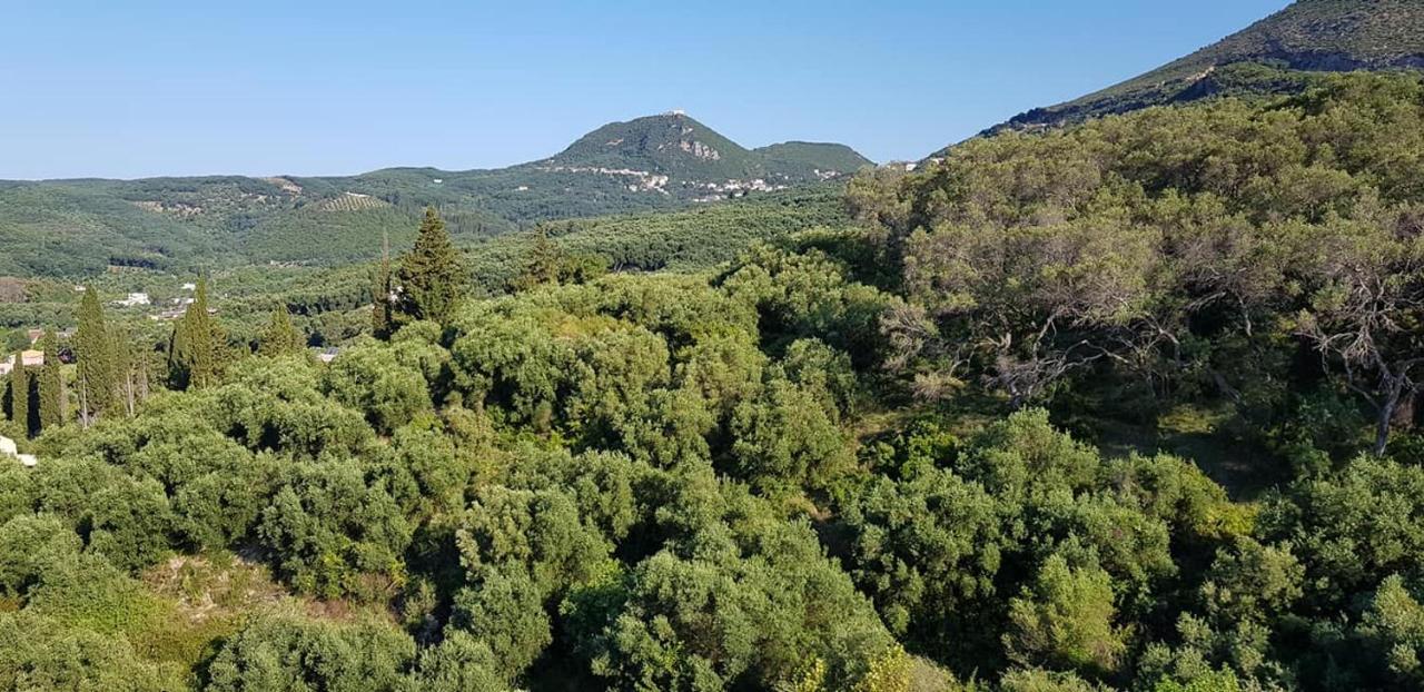 Diogenis Parga Studios Kültér fotó